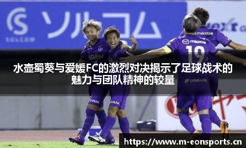 水壶蜀葵与爱媛FC的激烈对决揭示了足球战术的魅力与团队精神的较量